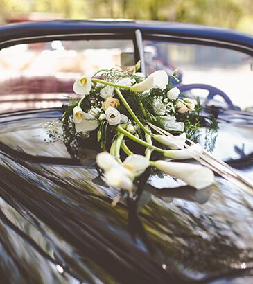 Wedding Transfer Img